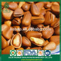 Wholesale New Arrival Organic Siberian Open Pine Nuts for Sale